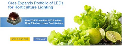 科銳宣布推出針對植物照明優化LED新品