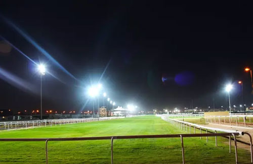 引領技術和渠道 雷士照明處處彰顯行業領袖品牌風范