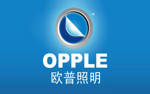 2017年中國十大著名電工品牌最新榜單 2017年中國十大著名電工品牌最新榜單