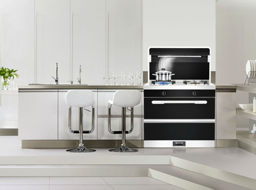 十大集成灶品牌把好終端“脈絡” 印證行業霸主地位！