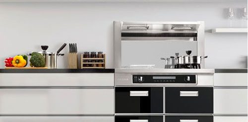 集成環(huán)保灶難以普及開來受多重因素影響 集成環(huán)保灶難以普及開來受多重因素影響