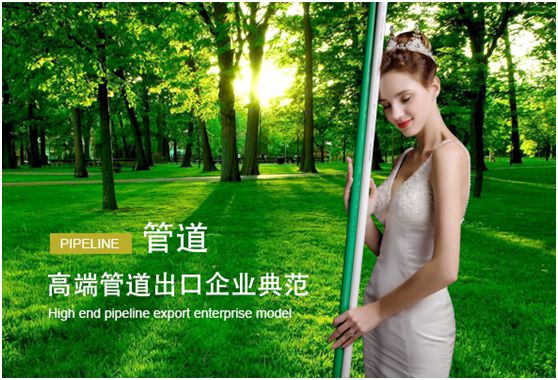 東生管材的“中國十大管材管件品牌”榮耀之路 東生管材的“中國十大管材管件品牌”榮耀之路