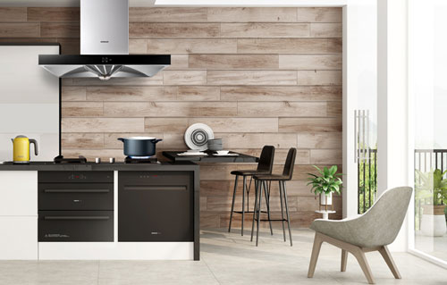 中小廚房電器企業打破常規，尋求屬于自身的發展之路