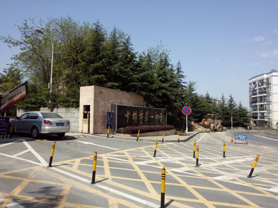 涂料品牌日記|經典漆：播下種子，守護希望