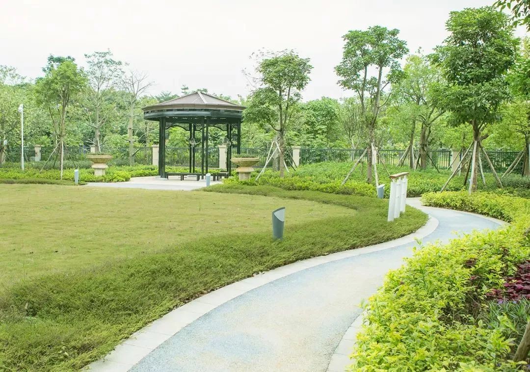 榮耀安防頒獎典禮，羅格朗斬獲“2017年度智慧城市建設貢獻獎”