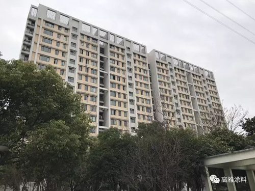 品牌產品|高雅彈性涂料——平平淡淡就是我