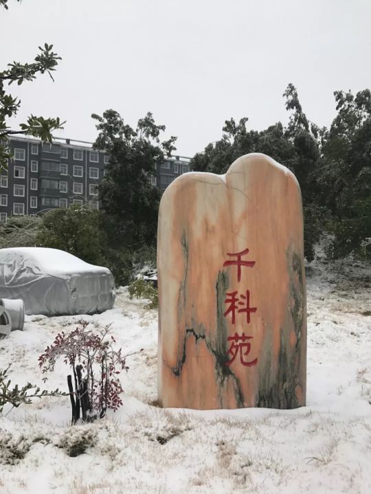 千科潘遠宏：智能產品、智慧營銷一手抓，智能終端是品牌最后浪潮