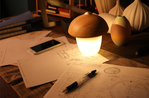 網(wǎng)絡(luò)時代,中國十大家居照明品牌該怎么秀出自我? 網(wǎng)絡(luò)時代,中國十大家居照明品牌該怎么秀出自我?