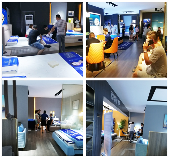 戰(zhàn)績(jī)斐然   益恩家居參加2019順德“龍家展”