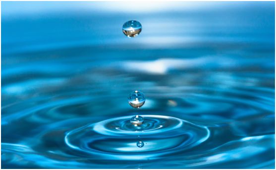 百慕水性木器漆：環保，一直都在我們身邊