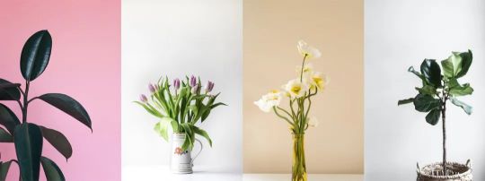 從2020家居潮流4大關(guān)鍵詞出發(fā),為您解讀燈飾設(shè)計(jì)新趨勢(shì) 從2020家居潮流4大關(guān)鍵詞出發(fā),為您解讀燈飾設(shè)計(jì)新趨勢(shì)