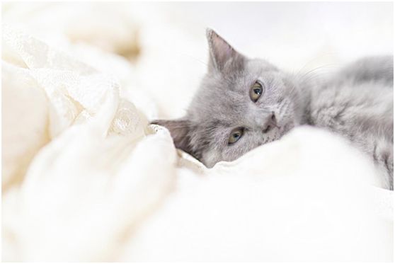 環(huán)保清新箭牌漆 與您共度別樣的五一勞動(dòng)節(jié)