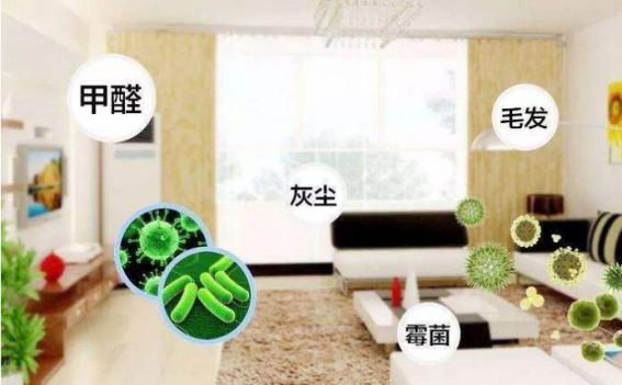 德國精工·諾森柏格是一個專注、專業(yè)的家用空氣凈化器品牌