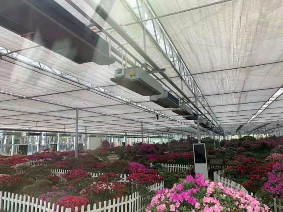 岳西大觀園12000㎡花卉大棚采用格美粵空氣源熱泵，三年無故障運行
