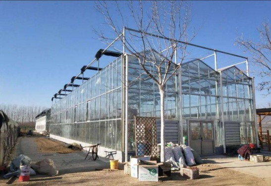 利普曼空氣能進駐農業大棚,智能溫控穩作物生長 利普曼空氣能進駐農業大棚,智能溫控穩作物生長